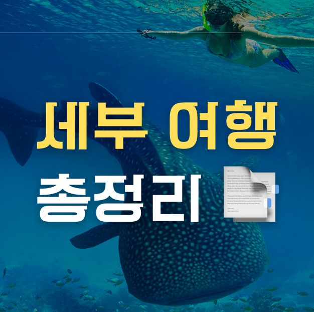 세부 여행 총정리 썸네일