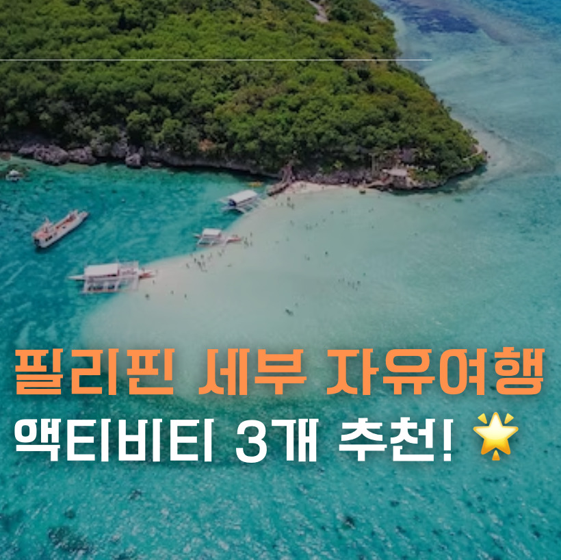 필리핀 세부 자유여행 액티비티